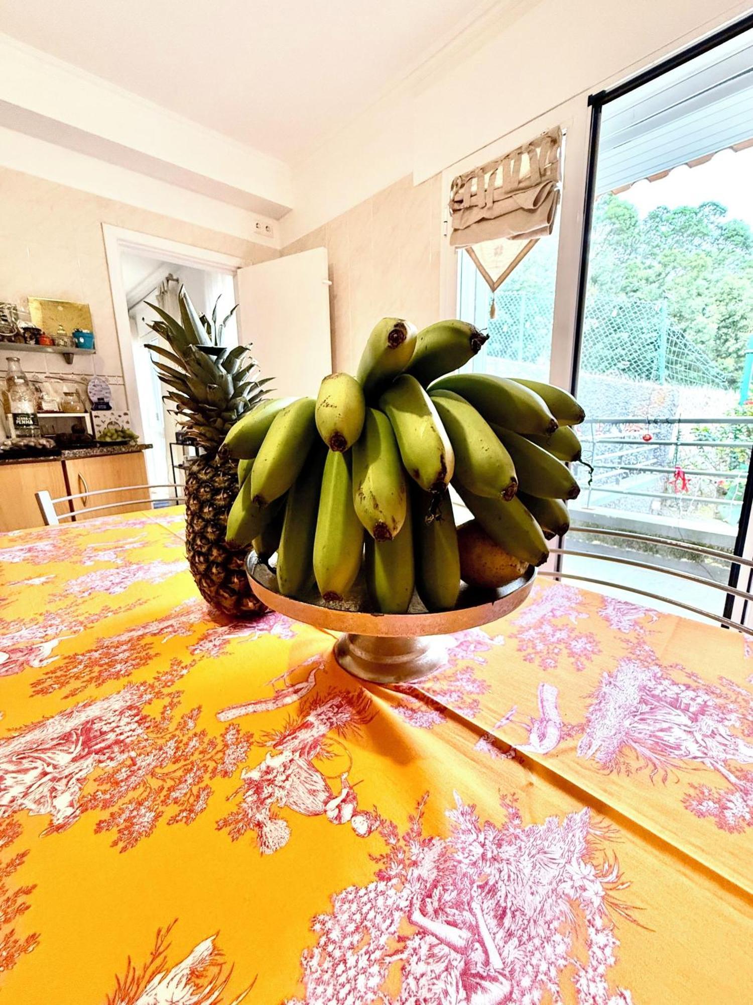 הוילה סנטה קרוז Casa Do Sol מראה חיצוני תמונה